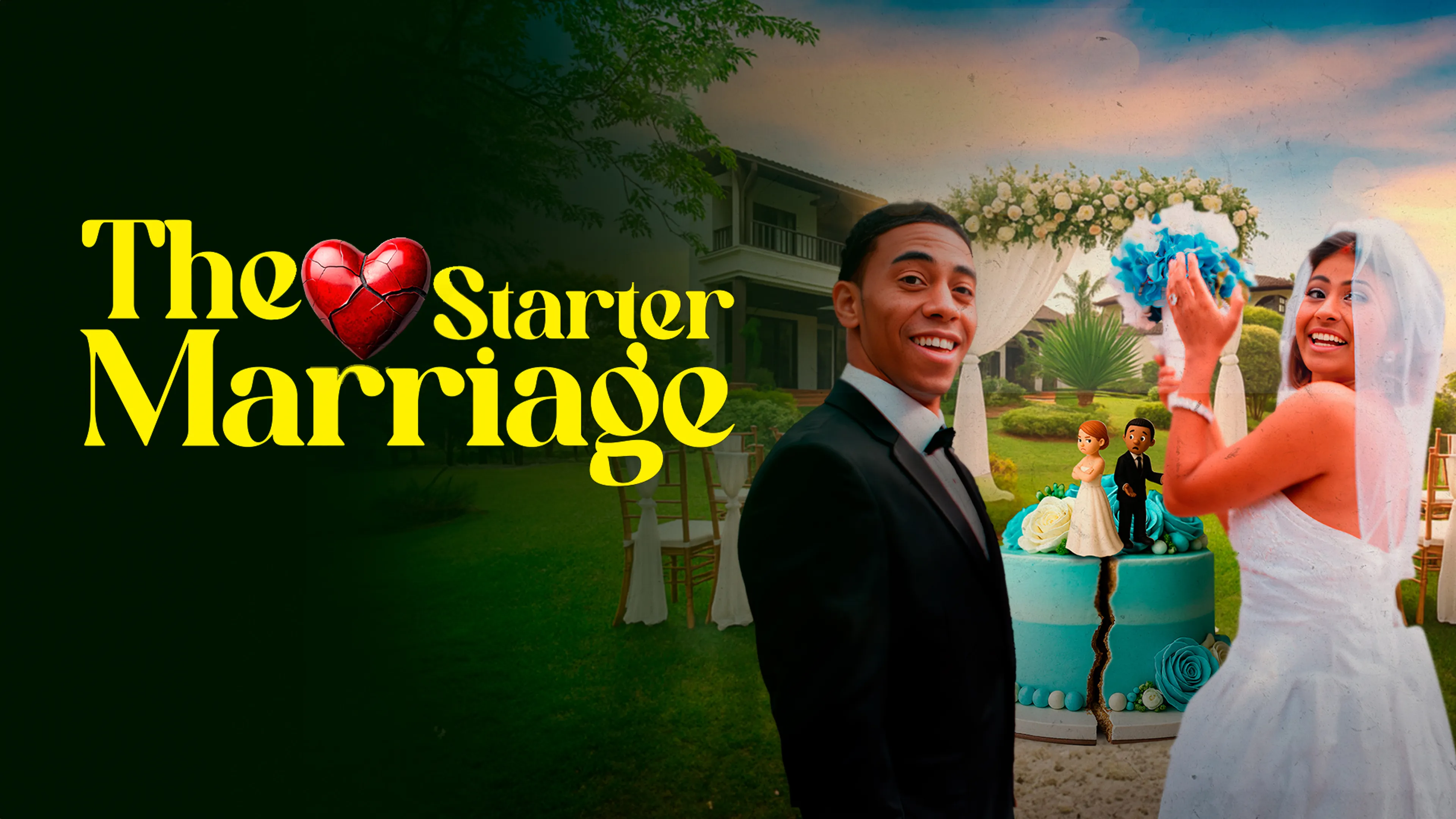 The Starter Marriage poster